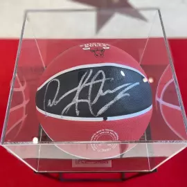 Мяч с автографом баскетболиста Денниса Родмана, дерево