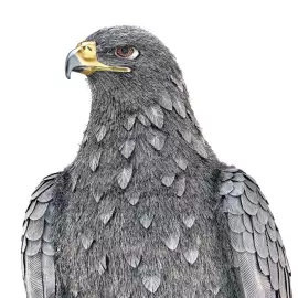 Скульптура из серебра "Орел на камне"