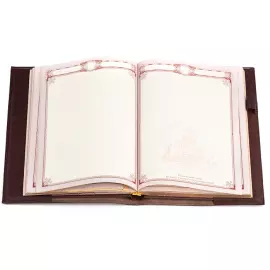 Britannia genuine leather diary