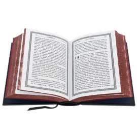 Книга в кожаном переплете "Псалтырь. Новый завет"