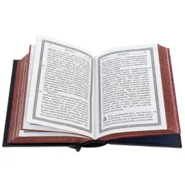 Книга в кожаном переплете "Псалтырь. Новый завет"