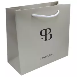 Наручные кварцевые часы Pilot Time серебристые с черным ремешком