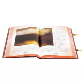 Книга в кожаном переплете "Россия. Великая судьба" эксклюзивное издание