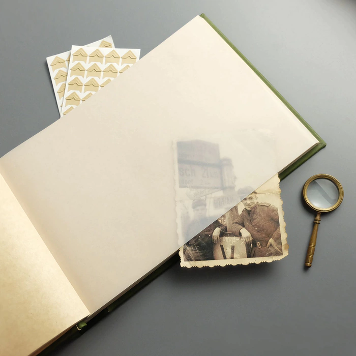 Genuine leather photo album "Oak, growing through time" color green