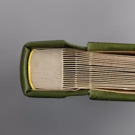 Фотоальбом из натуральной кожи "Дуб, растущий сквозь время" цвет зеленый