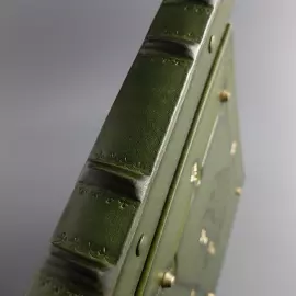 Фотоальбом из натуральной кожи "Дуб, растущий сквозь время" цвет зеленый