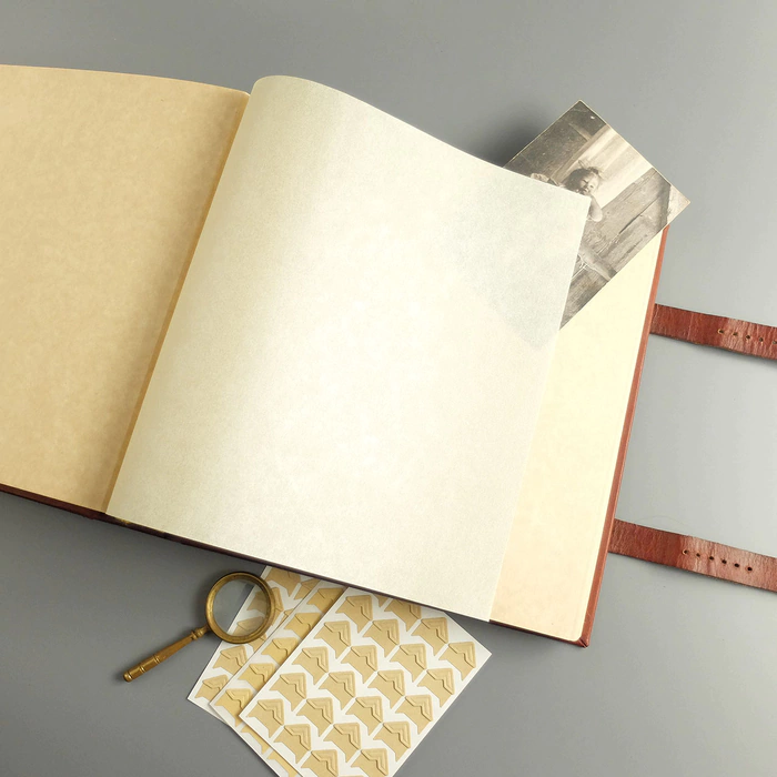 Genuine leather photo album "Tree" with brass frame