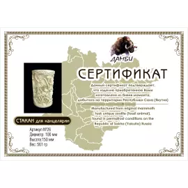 Pencil case made of mammoth tusk "Oasis"