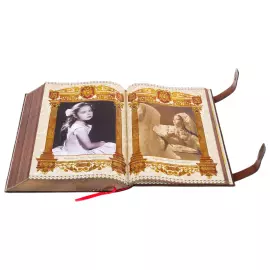 The leather-bound book "The House of Romanov. 400 years" in a box