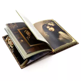 Книга в кожаном переплете "Оскар Уайльд. Портрет Дориана Грея" с французским переплетом