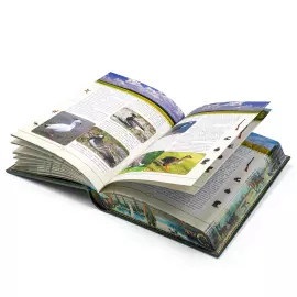 Книга в кожаном переплете "Русская охота" Сабанеев Л.П, в коробе