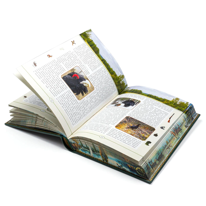 Книга в кожаном переплете "Русская охота" Сабанеев Л.П, в коробе