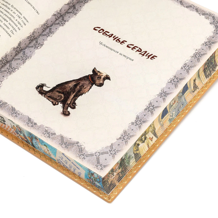 Книга в кожаном переплете "Собачье сердце" Булгаков М., французский переплет