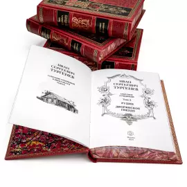 Подарочное собрание сочинений "Тургенев И.С." в 12 томах