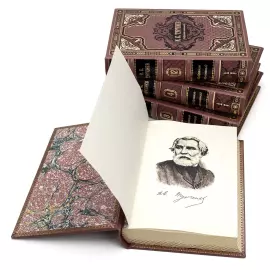 Подарочное собрание сочинений "Тургенев И.С." в 12 томах