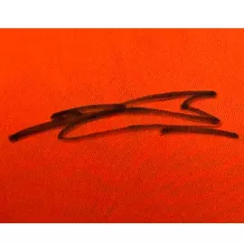 Футболка с автографом автогонщика Шарля Леклера