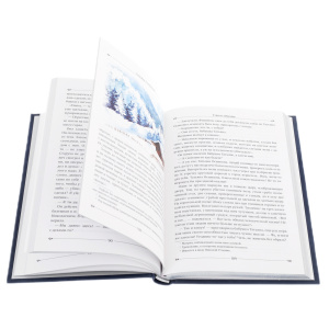 Подарочный набор "Новогодняя ночь" с книгой и 2-мя елочными игрушками из ваты