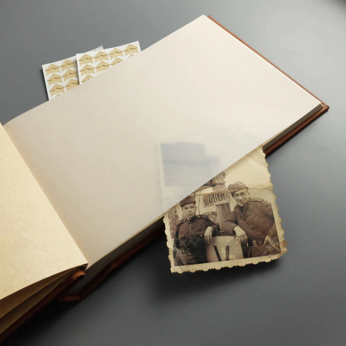 Photo album made of genuine leather "Tree" with inlay
