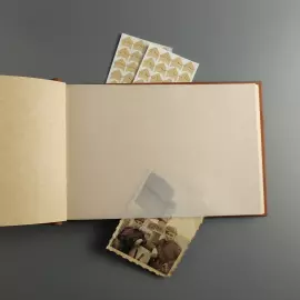 Photo album made of genuine leather "Tree" with inlay