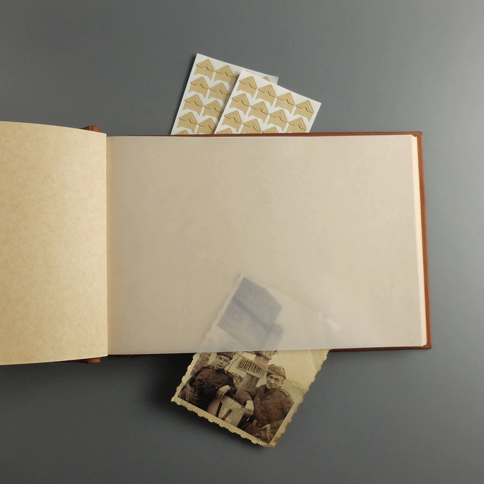 Photo album made of genuine leather "Tree" with inlay