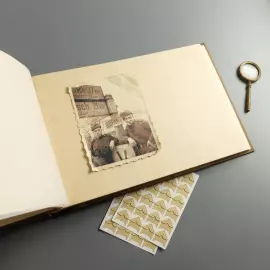 Genuine leather photo album "Oak, growing through time" color brown