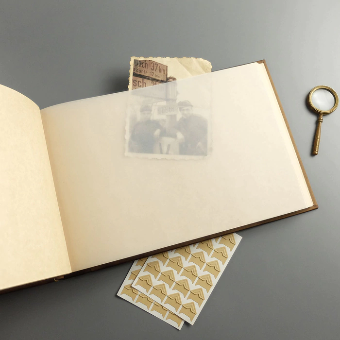 Genuine leather photo album "Oak, growing through time" color brown