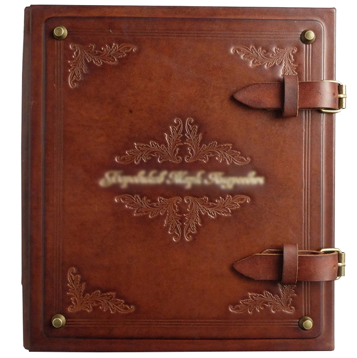 Album of money made of genuine leather "Nominal"