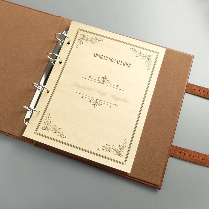 Album of money made of genuine leather "Nominal"