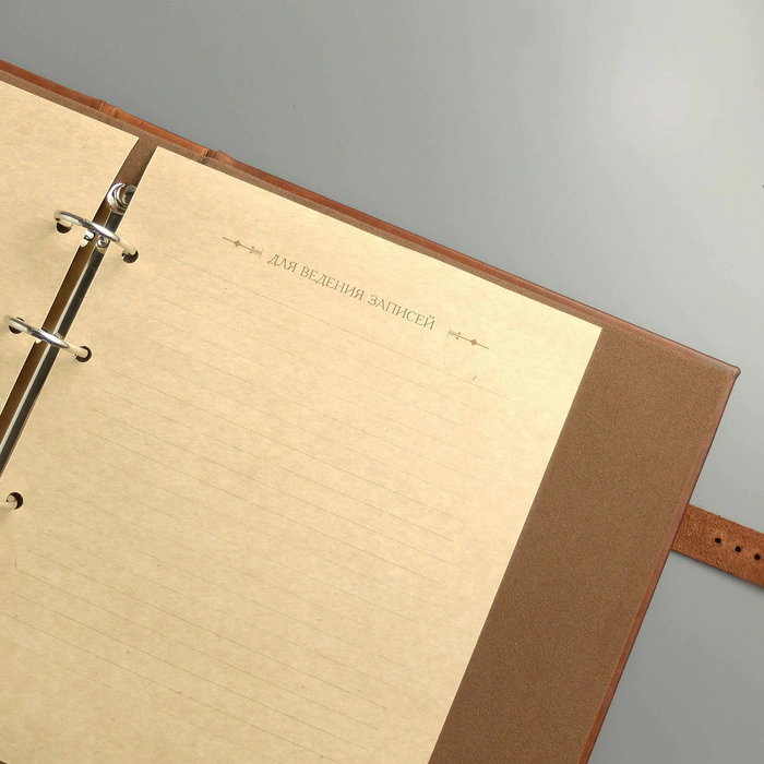 Album of money made of genuine leather "Nominal"