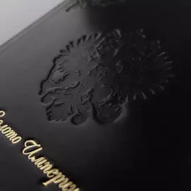 Альбом денежный из натуральной кожи "Золото империи"