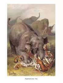 Книга в кожаном переплете "Мир животных. Популярная психология животных"