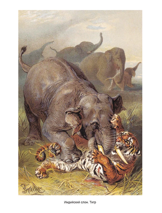 The leather-bound book "The World of animals. Popular Animal Psychology"