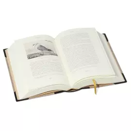 Книги в кожаном переплете "Альфа и омега: великие русские мореплаватели" Головнин, Крузенштерн, Коцебу, в 3 томах