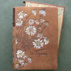 Книга в кожаном переплёте "Жизнь Арсеньева" раскрашенные вручную офорты Алёны Дергилевой, И.Бунин