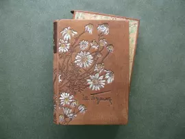 Книга в кожаном переплёте "Жизнь Арсеньева" раскрашенные вручную офорты Алёны Дергилевой, И.Бунин