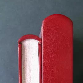 Книга в кожаном переплёте "Слово о полку Игореве" офорты Сергея Трубина