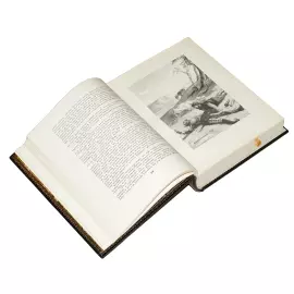 Книга в кожаном переплете "Дон Кихот" М. Сервантес