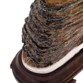 Скульптура из зуба мамонта, рога лося и красного дерева "Тигр"