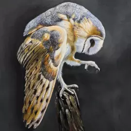 Декоративное панно "Сова"