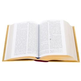 Книга украшенная "Библия" Златоуст