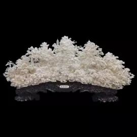 Композиция из бивня мамонта "Полное обновление"