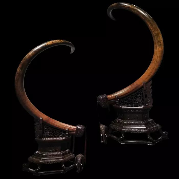 Композиция из бивня мамонта "Пара неокрашенных бивней"