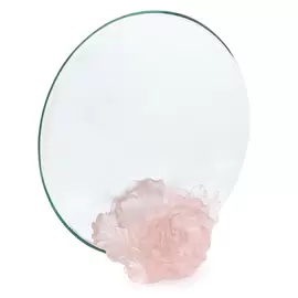 Декоративный зеркало "Camelia"