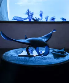 Хрустальная скульптура "Скат Manta" синяя