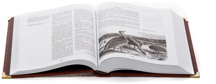 Набор для водки "Лафитник" с подарочной книгой "Русская охота"