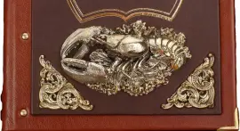 Набор бокалов для шампанского "Ангел" с подарочной книгой "Вино и еда" Набор бокалов для шампанского "Ангел" с подарочной книгой "Вино и еда"