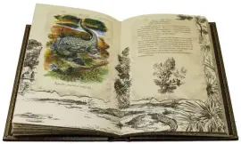 Подарочная книга "Роскошь зрелого возраста", Дж. Рокстон, в футляре Подарочная книга "Роскошь зрелого возраста", Дж. Рокстон, в футляре