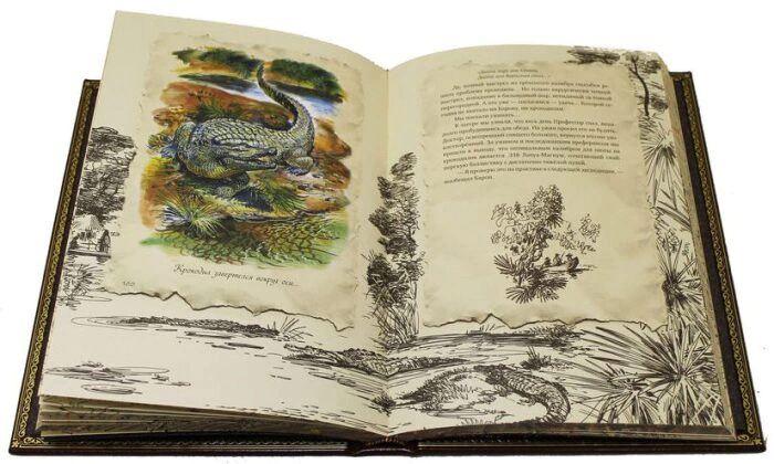 Gift book "The Luxury of adulthood" by J. Roxton (in a case)
