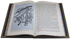 Подарочная книга "Викинги. Походы, открытия, культура", Г. Ласкавый